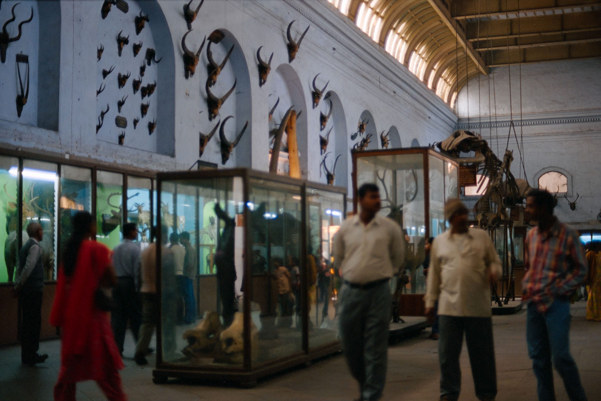 AHP film 2005 01 001 sc240825 img17 NLP